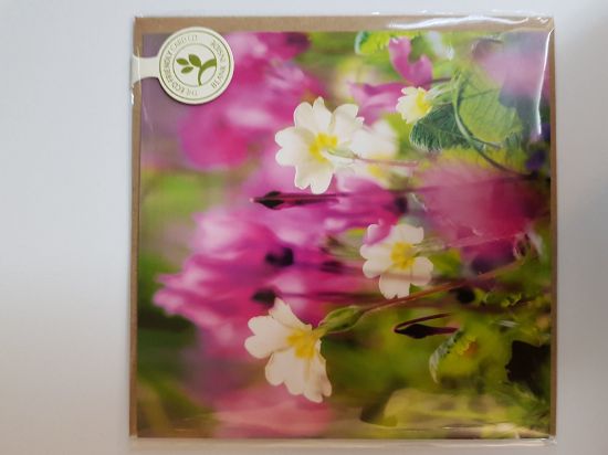 Picture of Card Blank - Swans in flight card