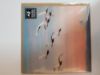 Picture of Card Blank - Swans in flight card