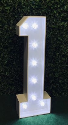 Picture of Light up Number 1