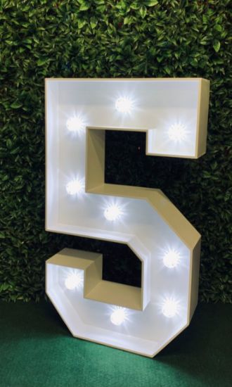 Picture of Light up Number 5