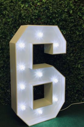 Picture of Light up Number 6