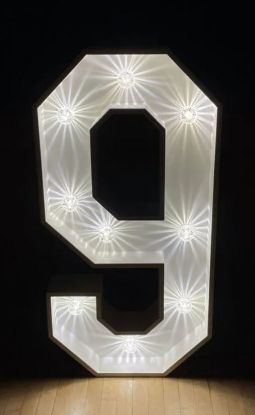 Picture of Light up Number 9
