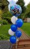 Picture of Balloon bundle (Latex
