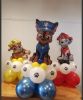 Picture of Paw patrol pillar