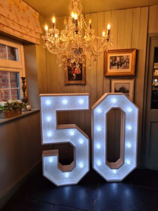 Picture of Style option 23 - Lightup number