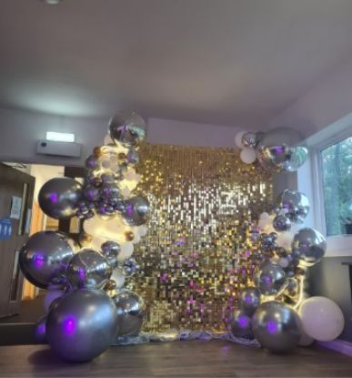 Picture of Style option 29 - Shimmer Backdrop with Sequin pannles